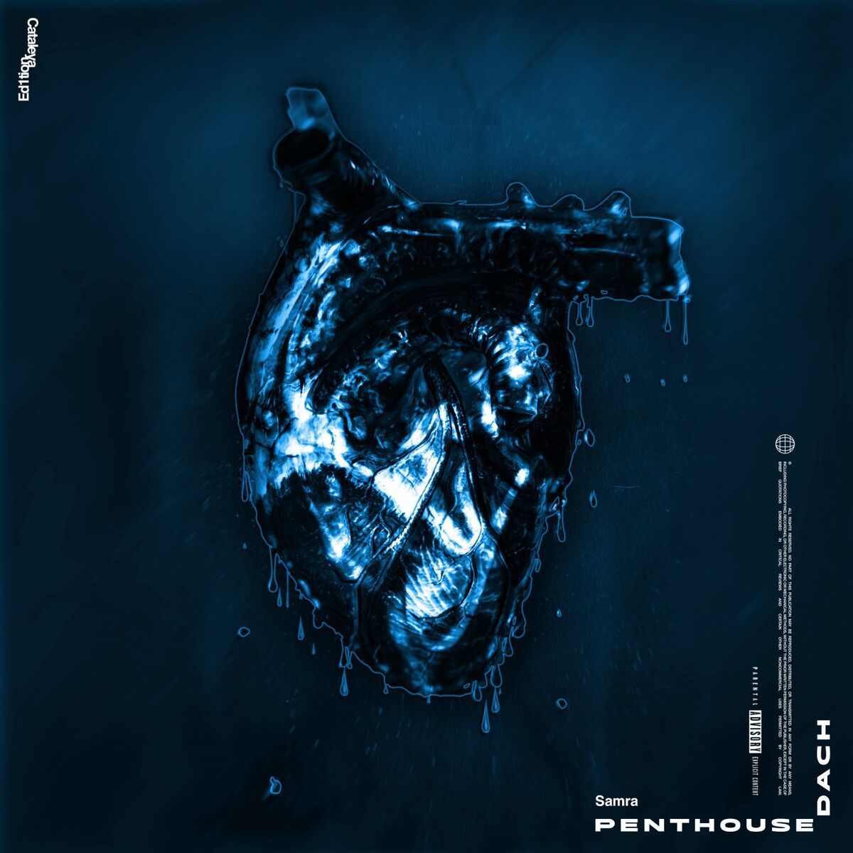 Album cover of Penthousedach