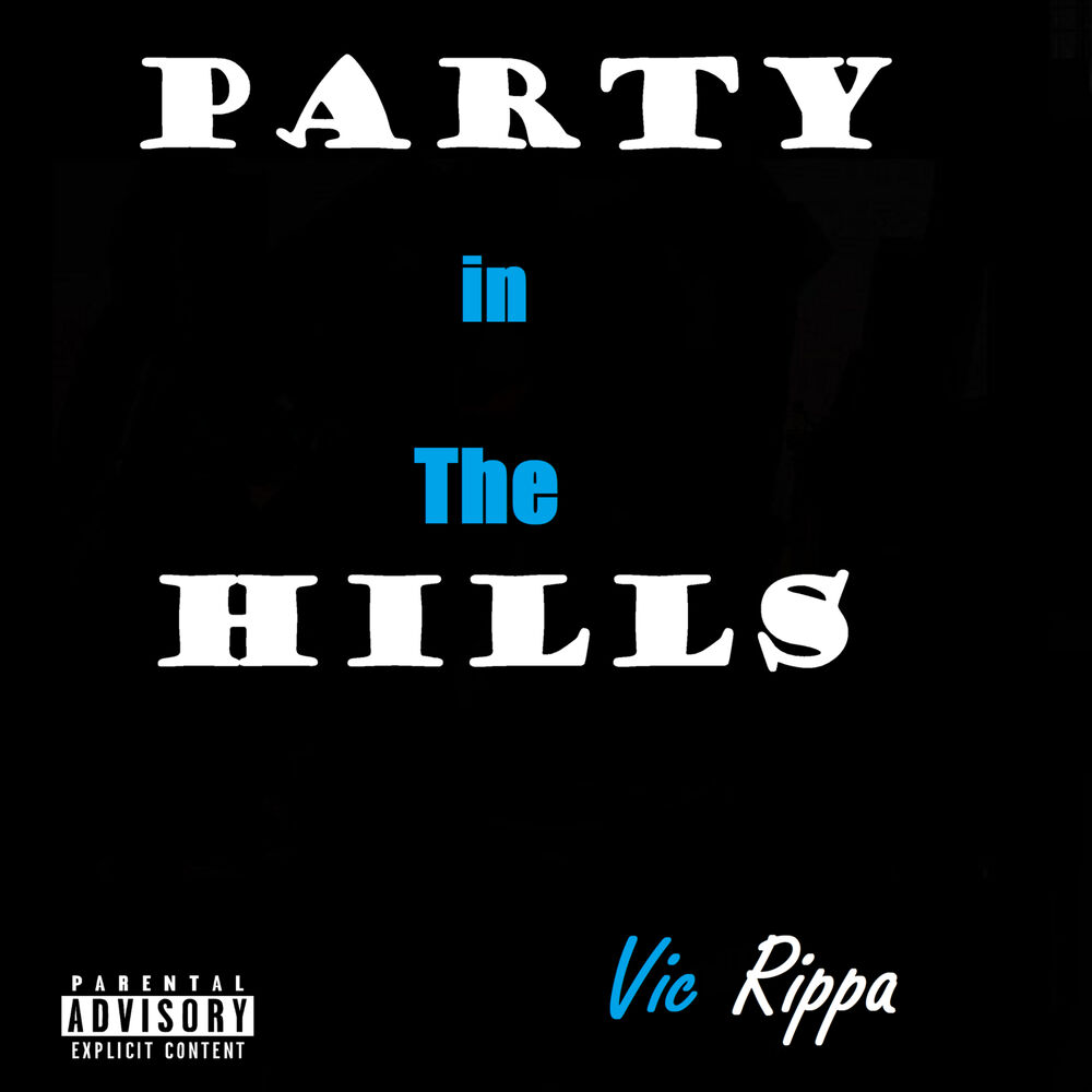 Picture of Party in the Hills
