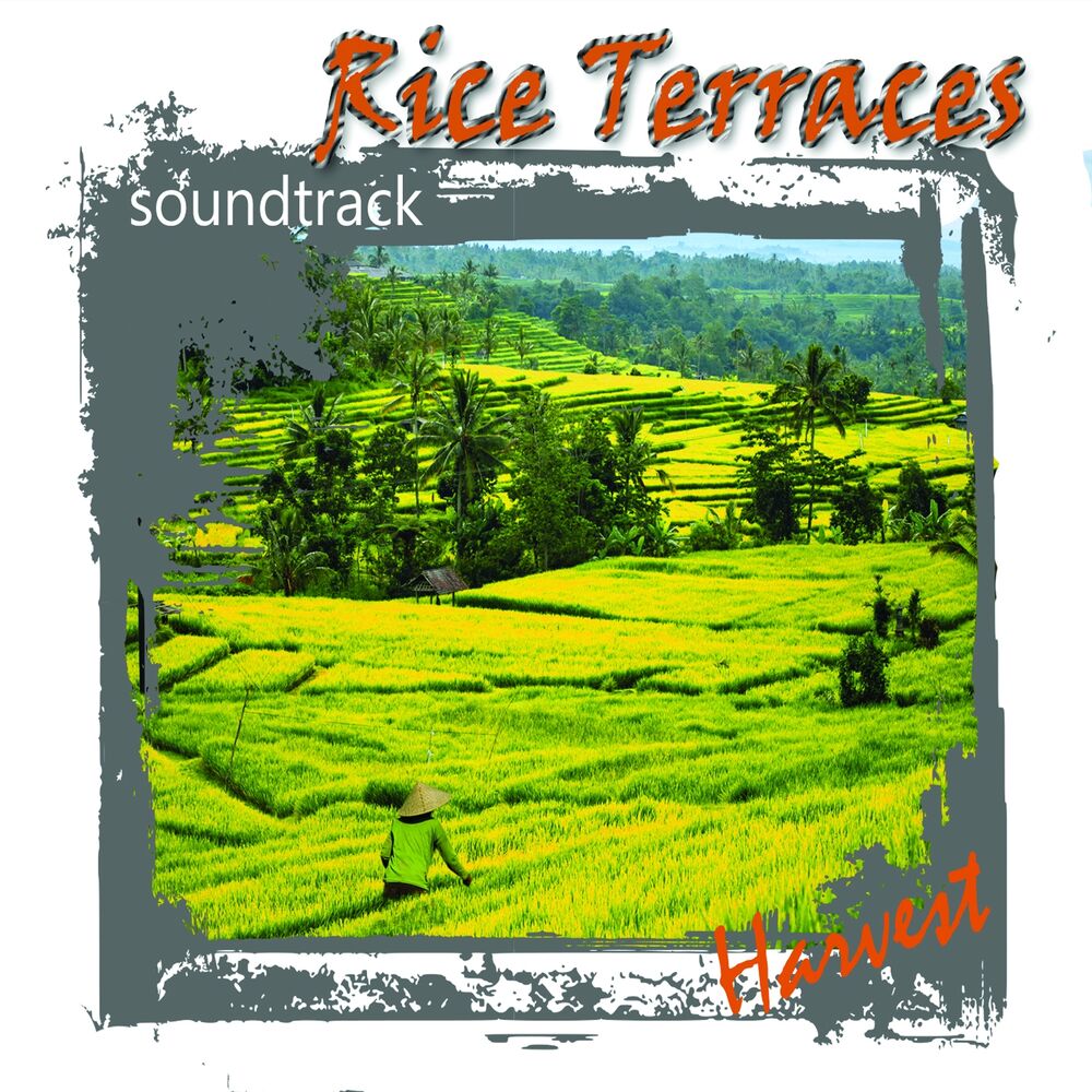 Picture of Rice Terraces