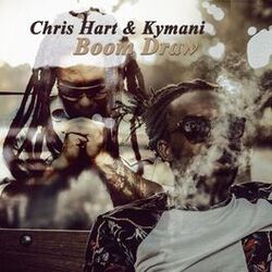 music cover