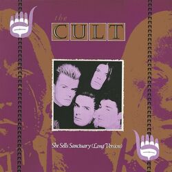 Cover of She Sells Sanctuary