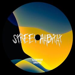 Cover of Droped