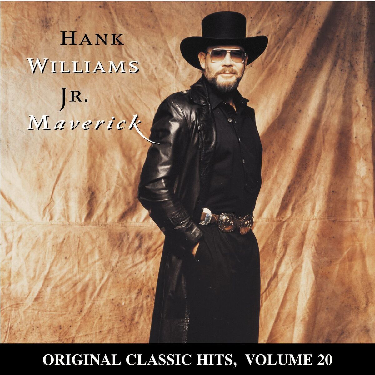 Album cover of Maverick
