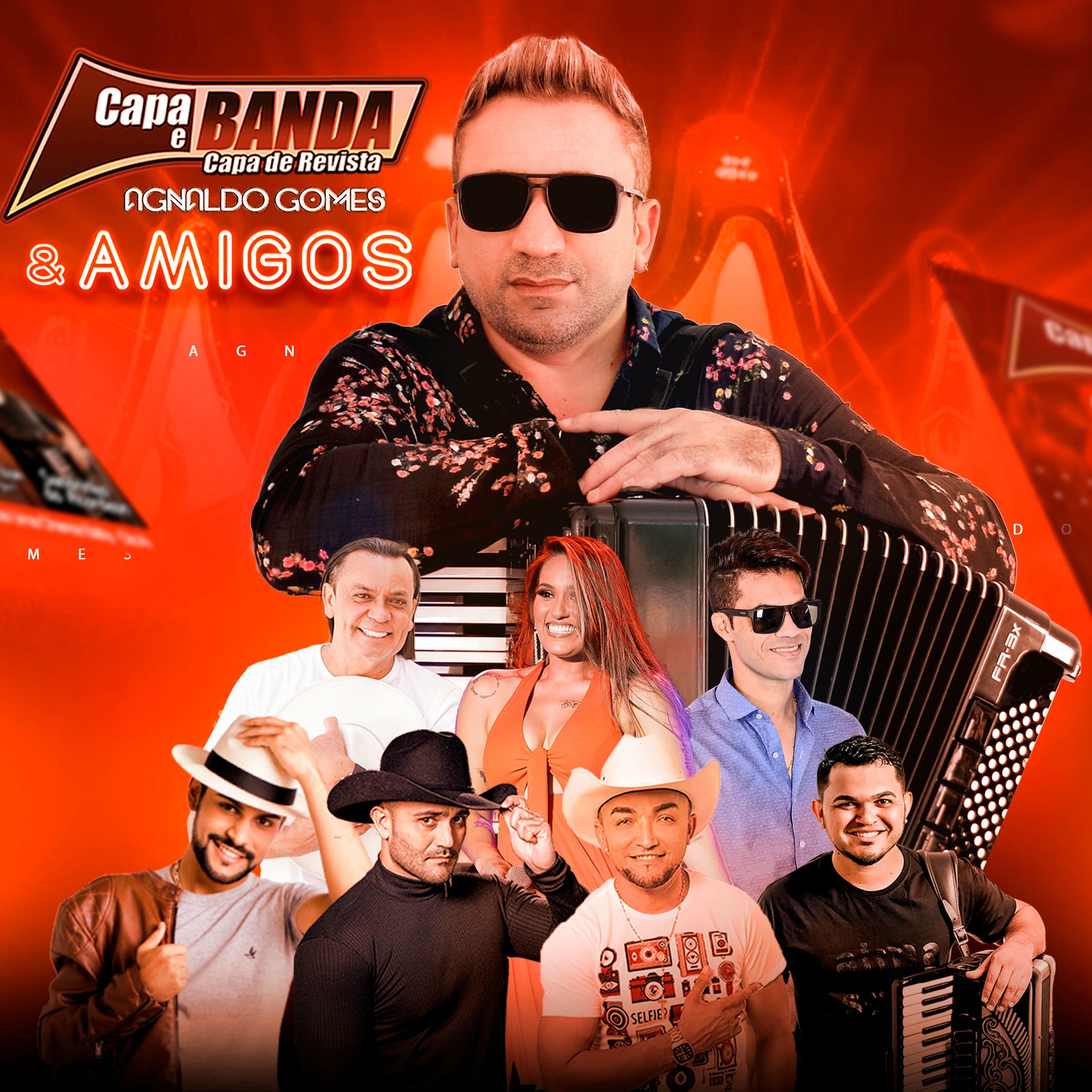 Album cover of Agnaldo Gomes & Amigos
