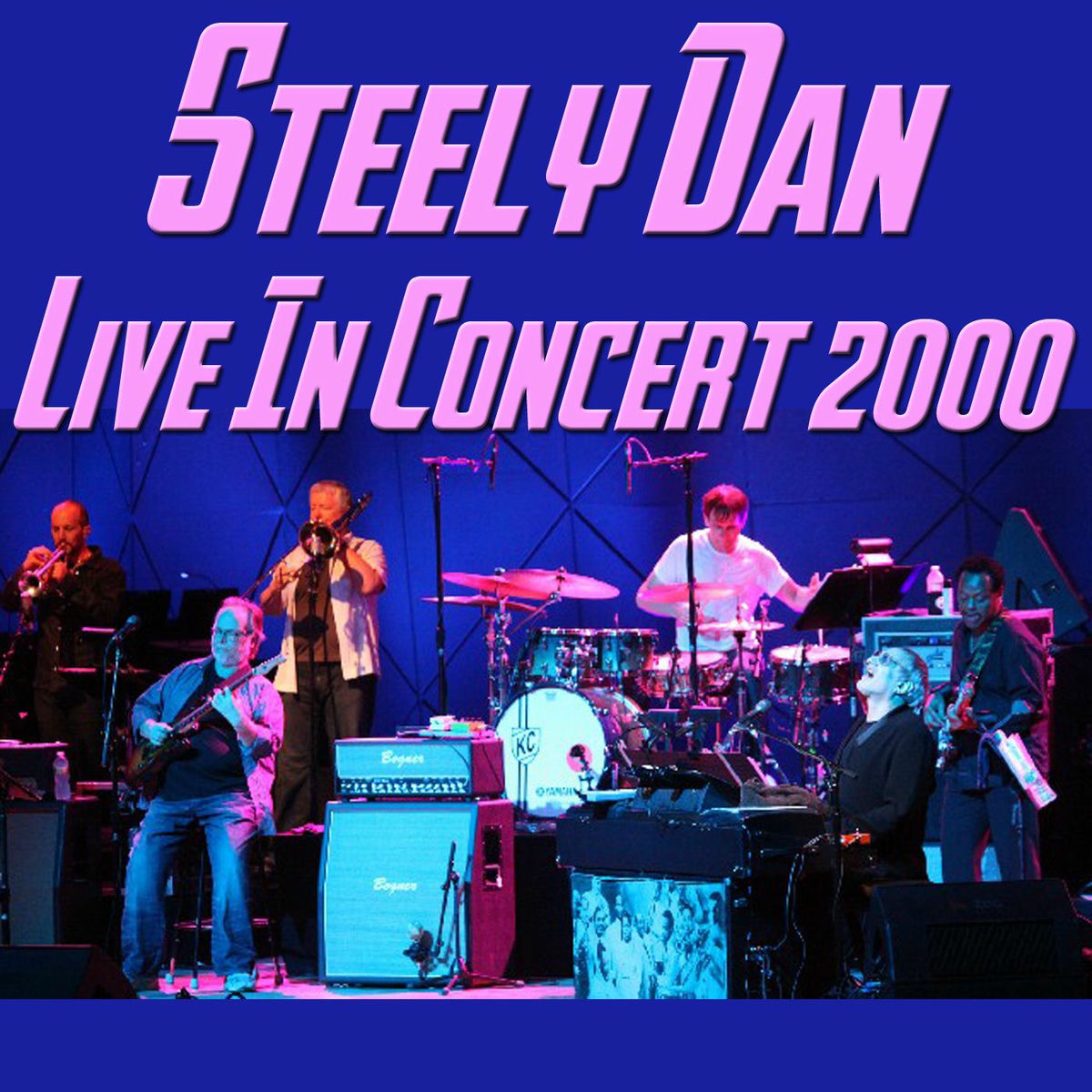 Steely Dan - Steely Dan Live in Concert 2000 (Live) | Deezer