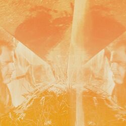 Cover of Reflection Affection I