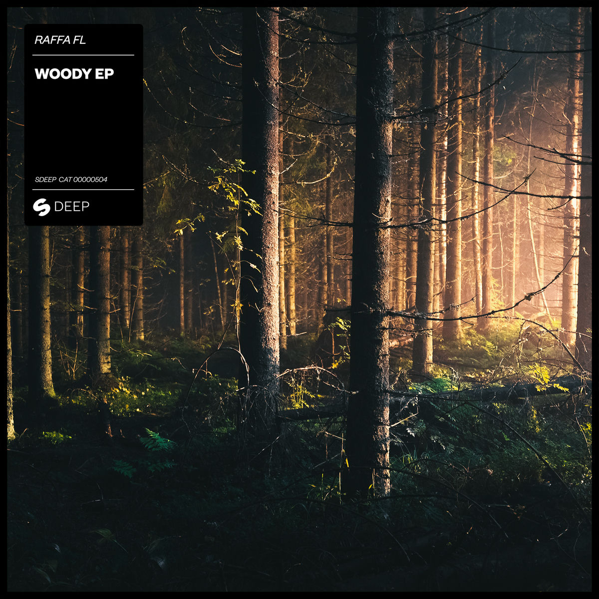 Album cover of Woody EP