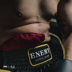 Cover of Enemy