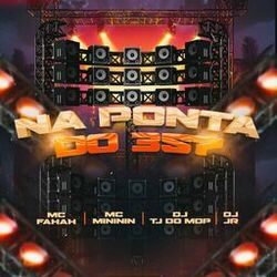 Cover of Na Ponta do 357