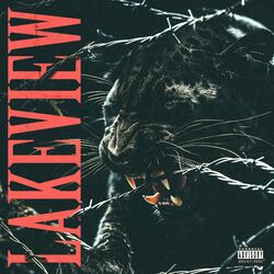 Cover of Lakeview