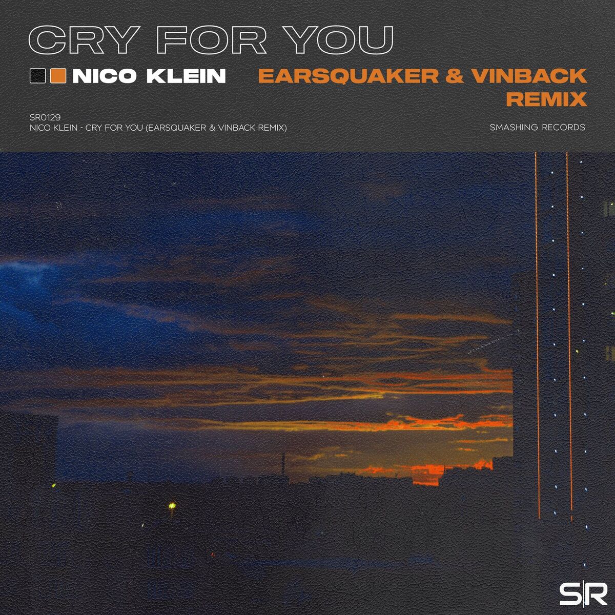 Album cover of Cry for You (Earsquaker & Vinback Remix)