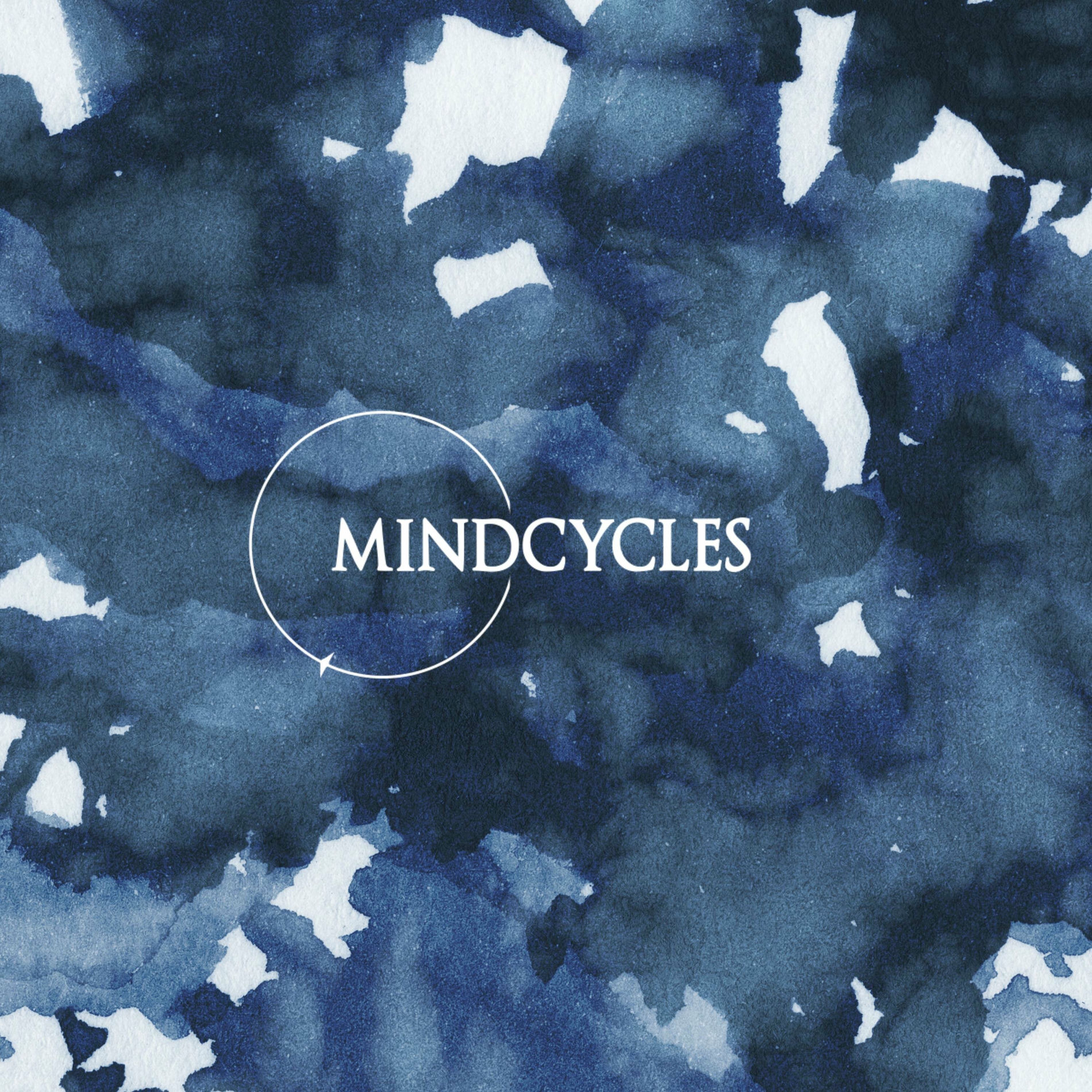Album cover of Mindcycles