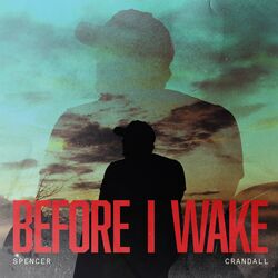 Cover of Before I Wake