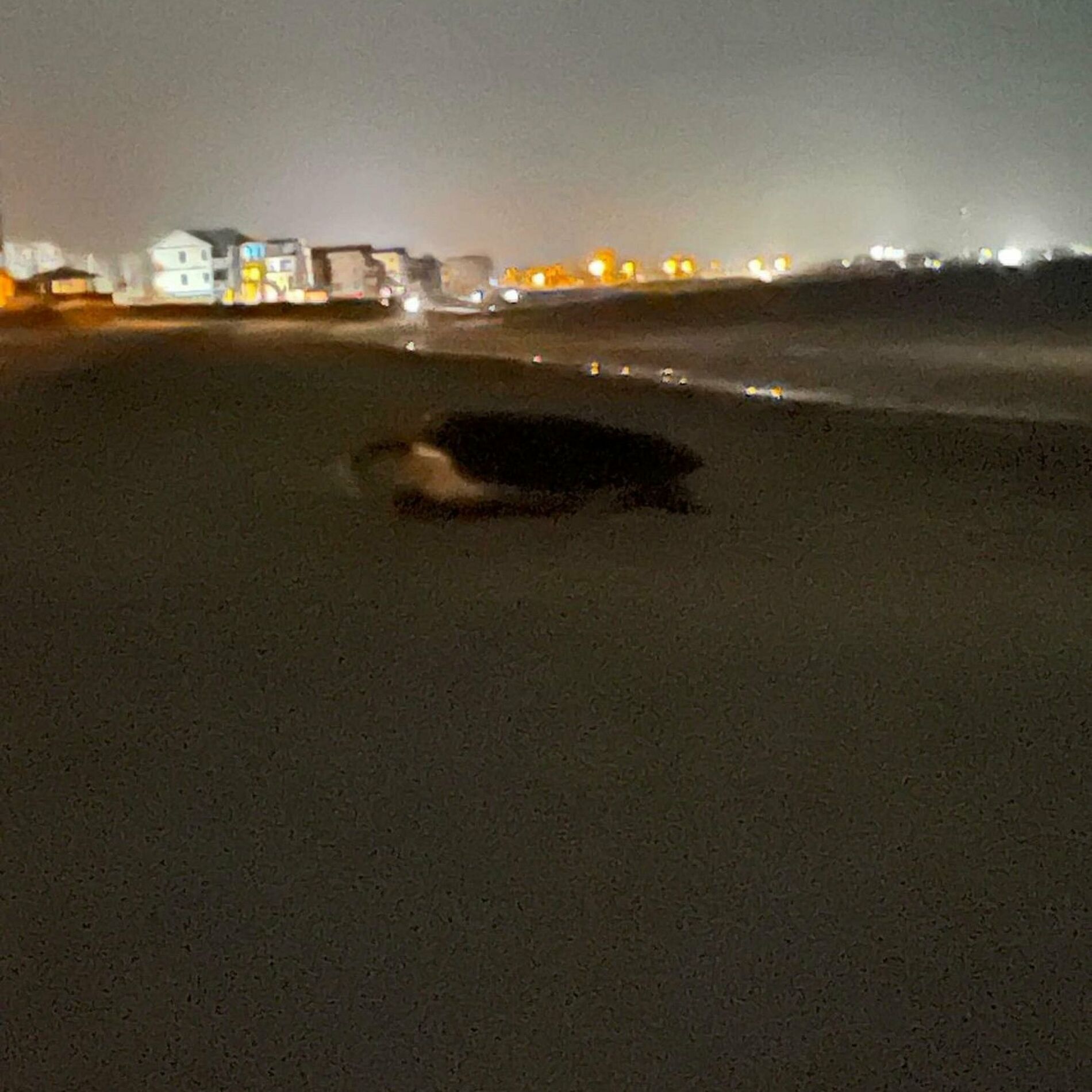 Album cover of Miramar Beach at night (feat. Harry Hawaii, Slo Five & LOKY)