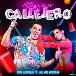 Cover of Perro Callejero