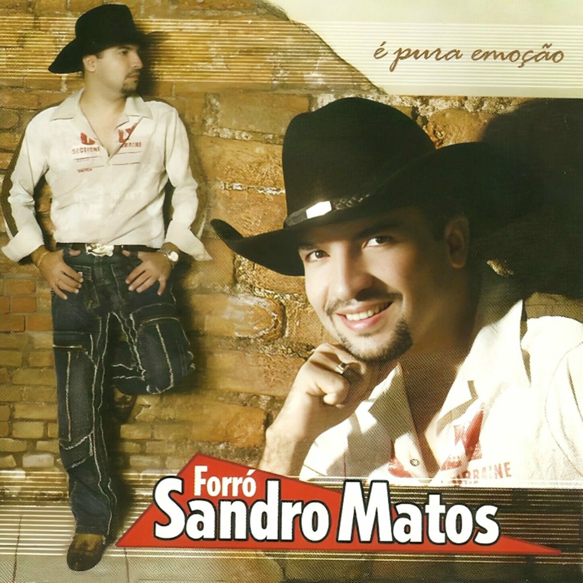 Album cover of É Pura Emoção, Vol.7
