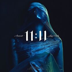 Cover of 11:11