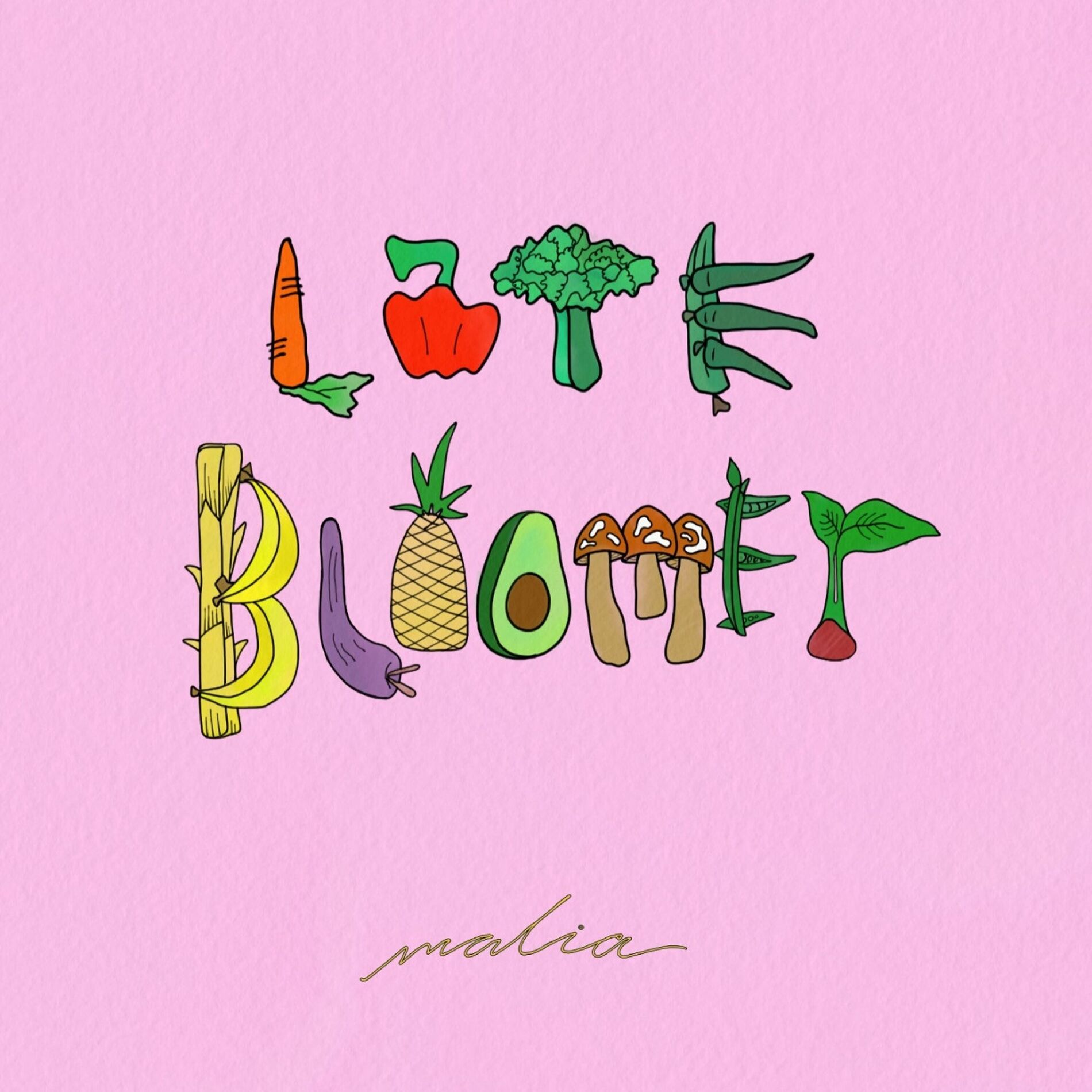 Album cover of Late Bloomer