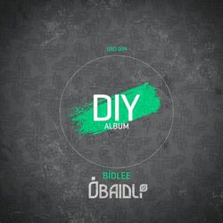 Cover of DIY