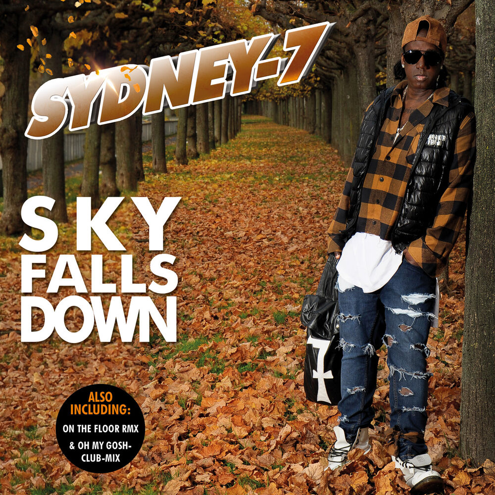 Picture of Sky Falls Down