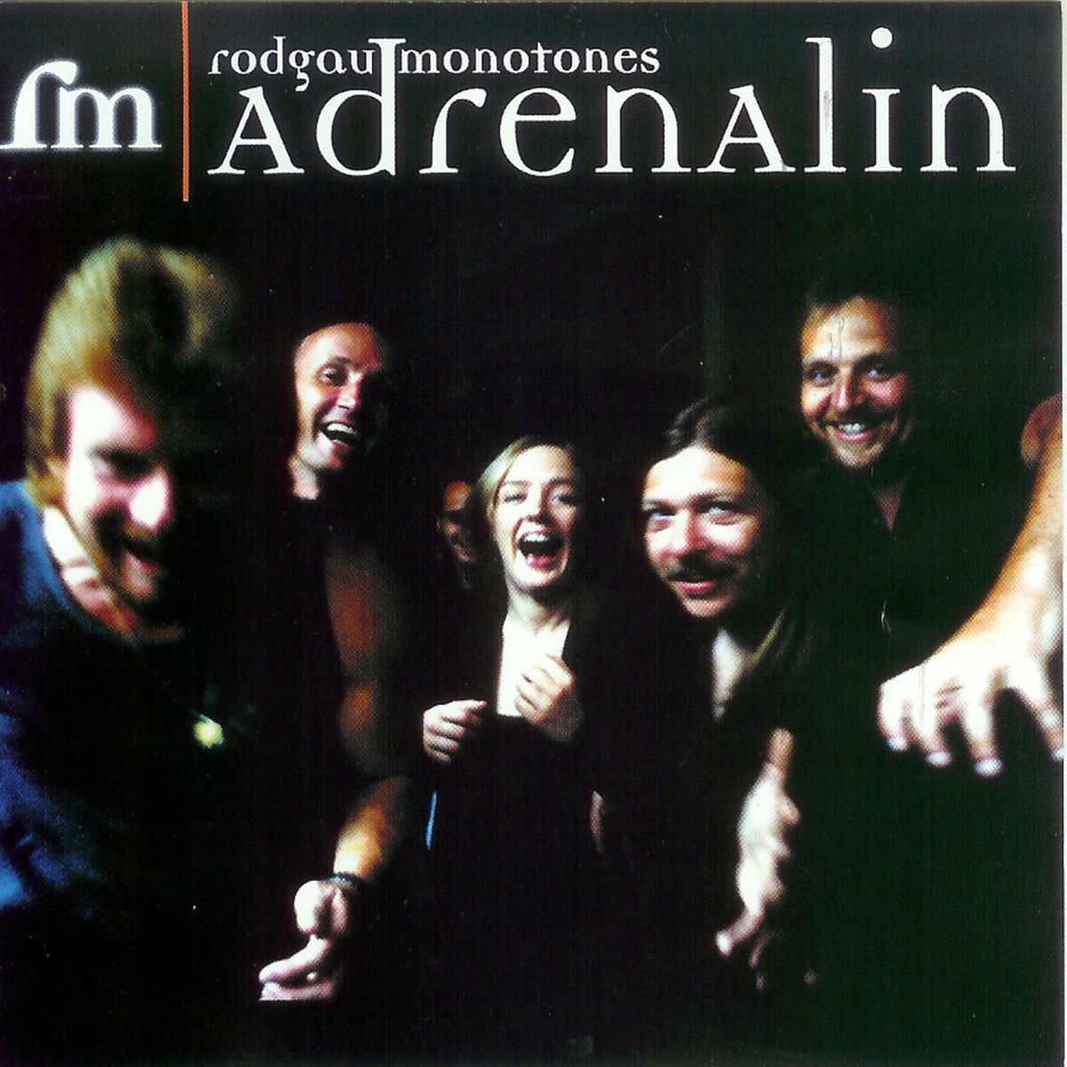 Album cover of ein gutes Jahr