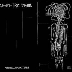 Cover of Virtual Analog Tears