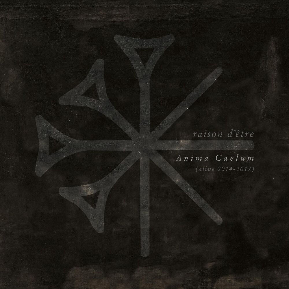 Picture of Anima Caelum (Alive 2014-2017)