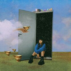 Cover of Still a Boy