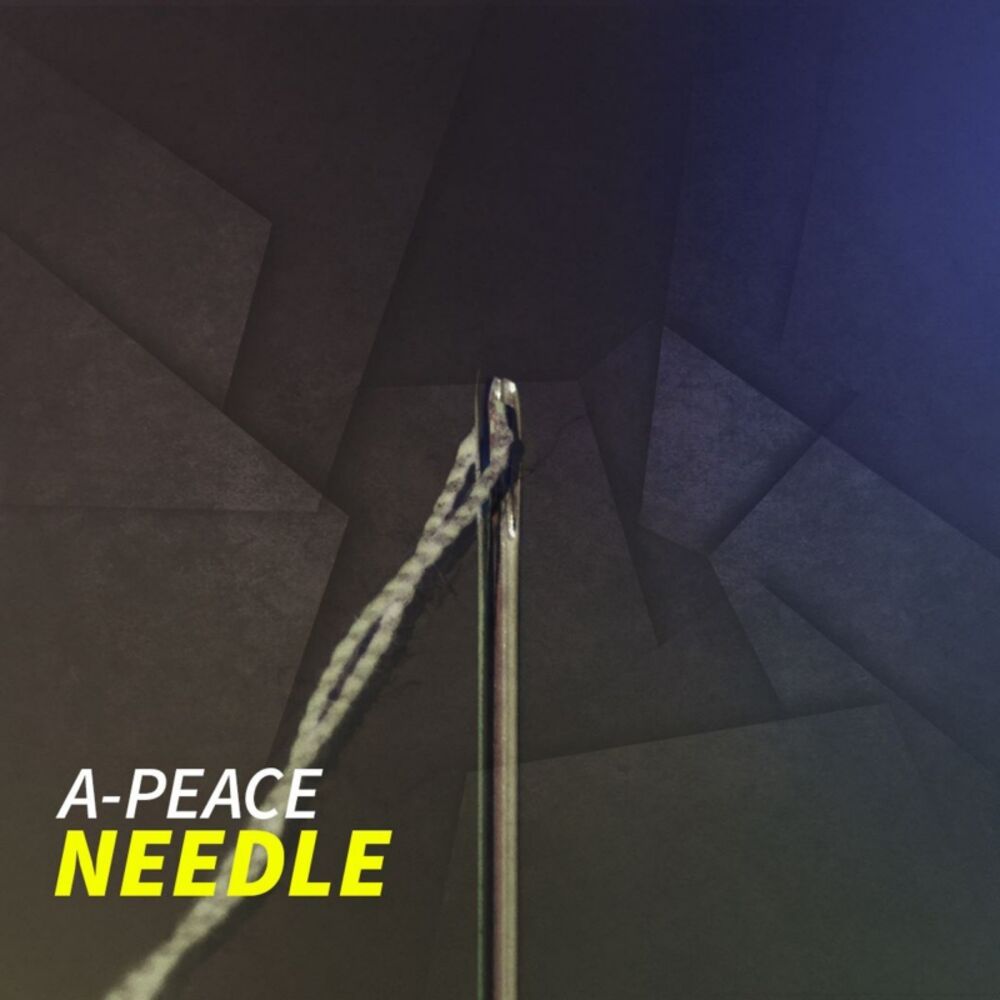 Picture of Needle