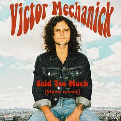 Cover of Said too much - MØme rework