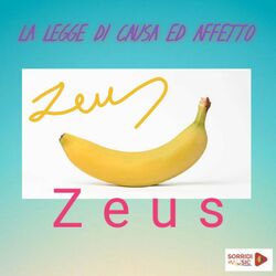 Cover of La legge di causa ed affetto