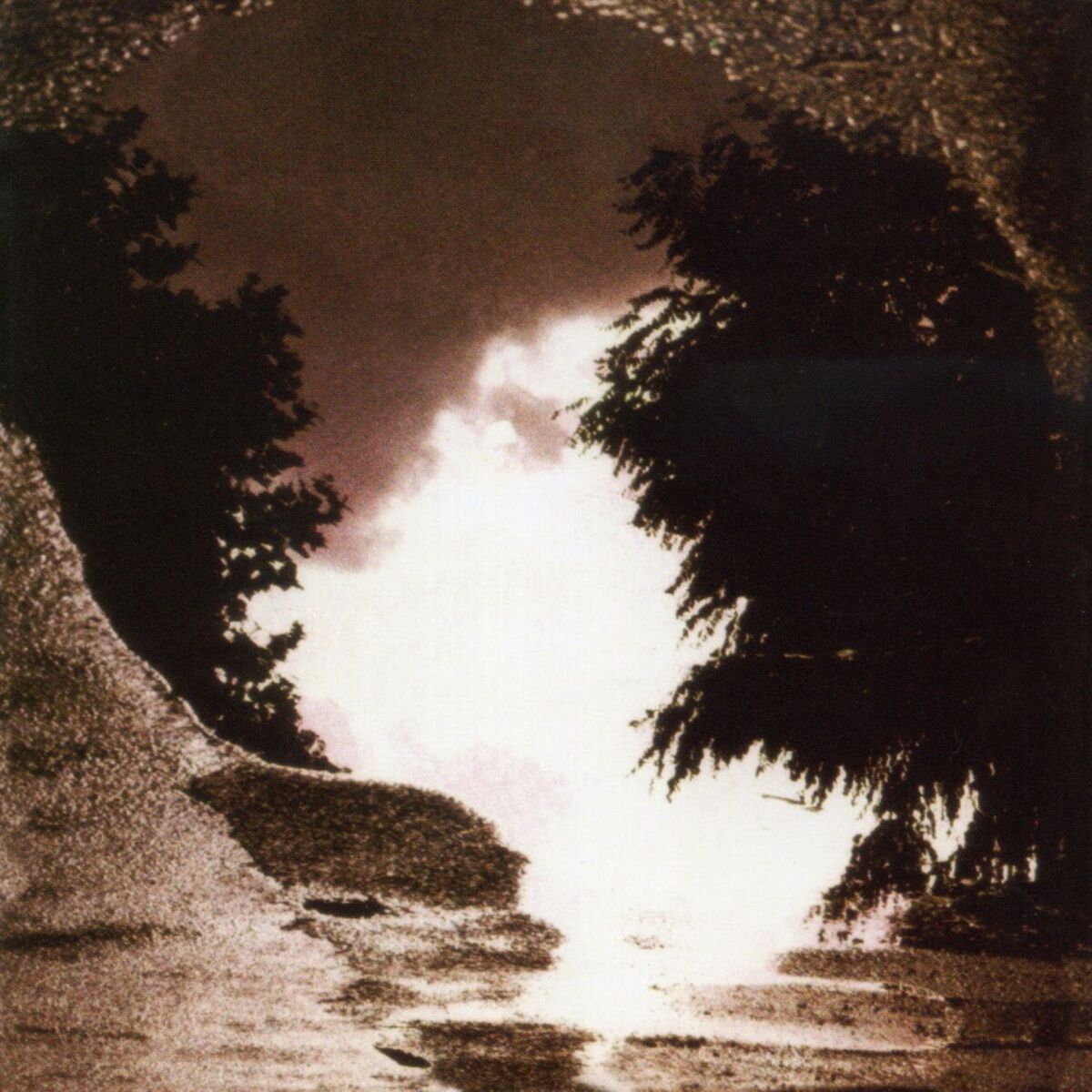 Album cover of Feeding the Flame