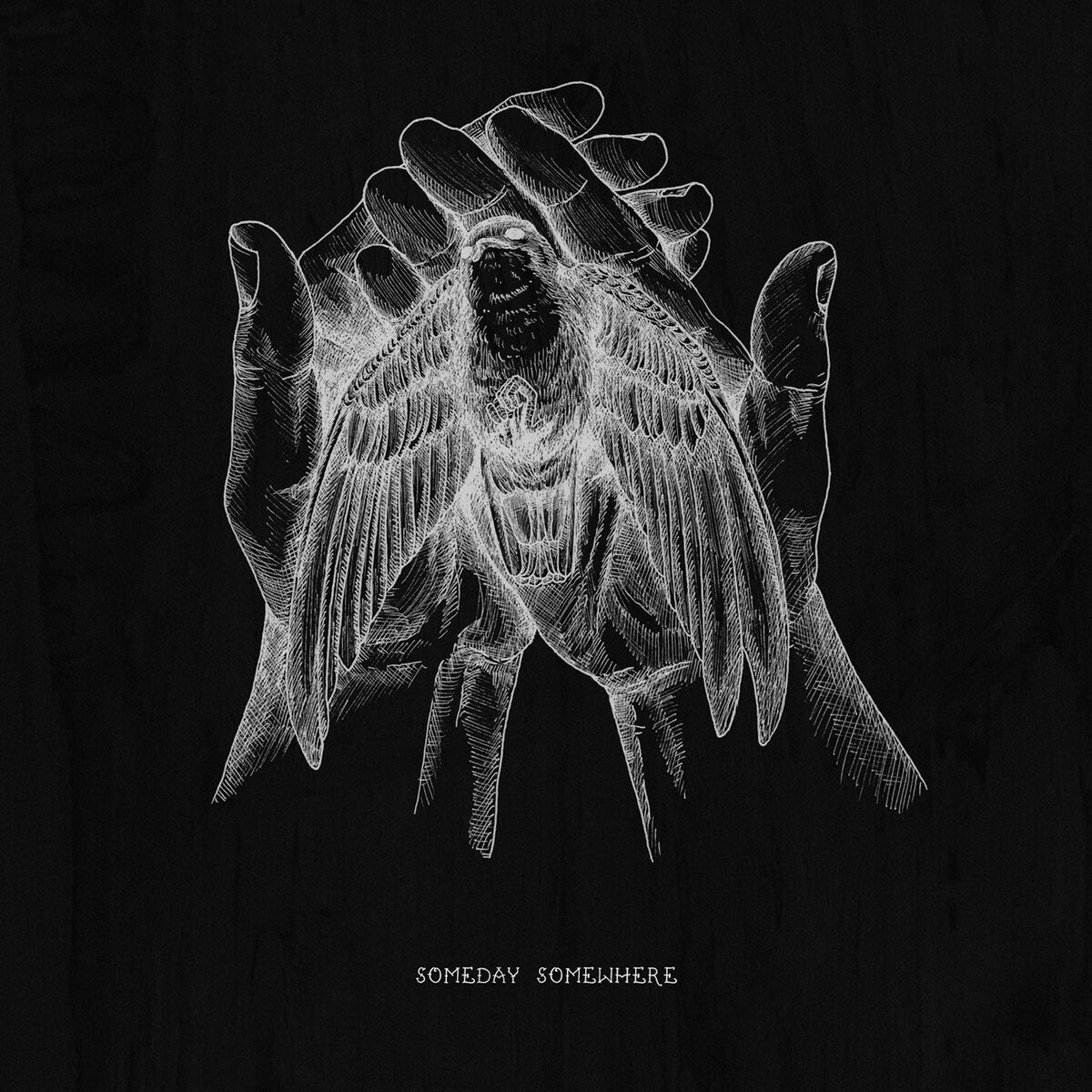 Album cover of Firefly