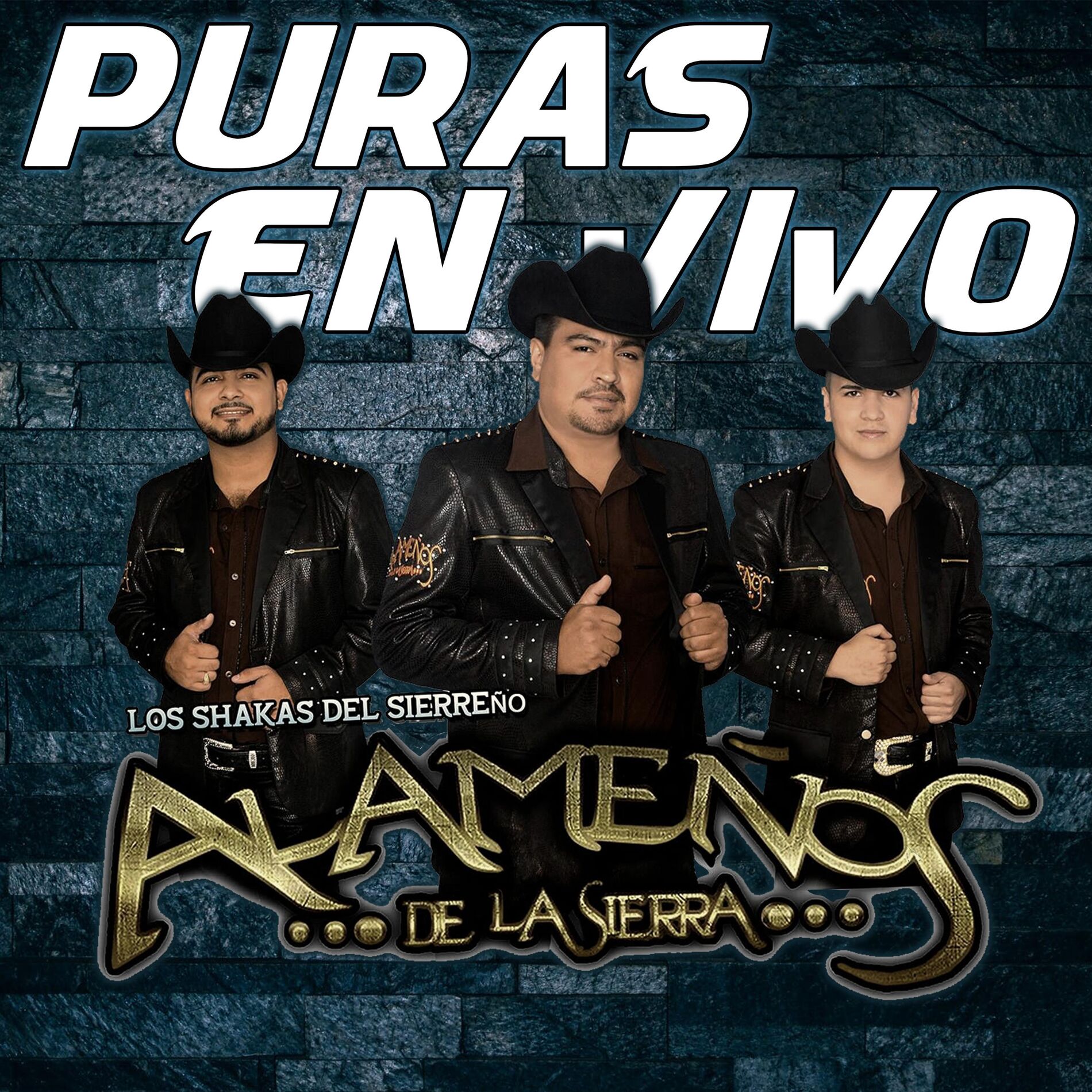 Album cover of Puras en Vivo
