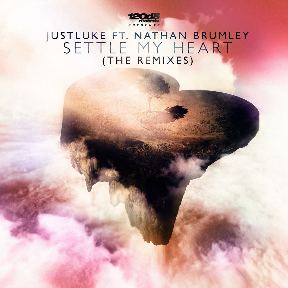 Picture of Settle My Heart (The Remixes)