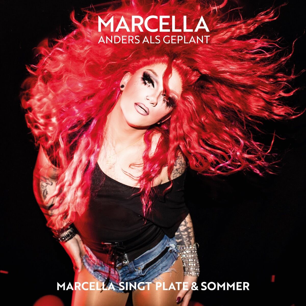 Album cover of Mein Leben im Aschenbecher