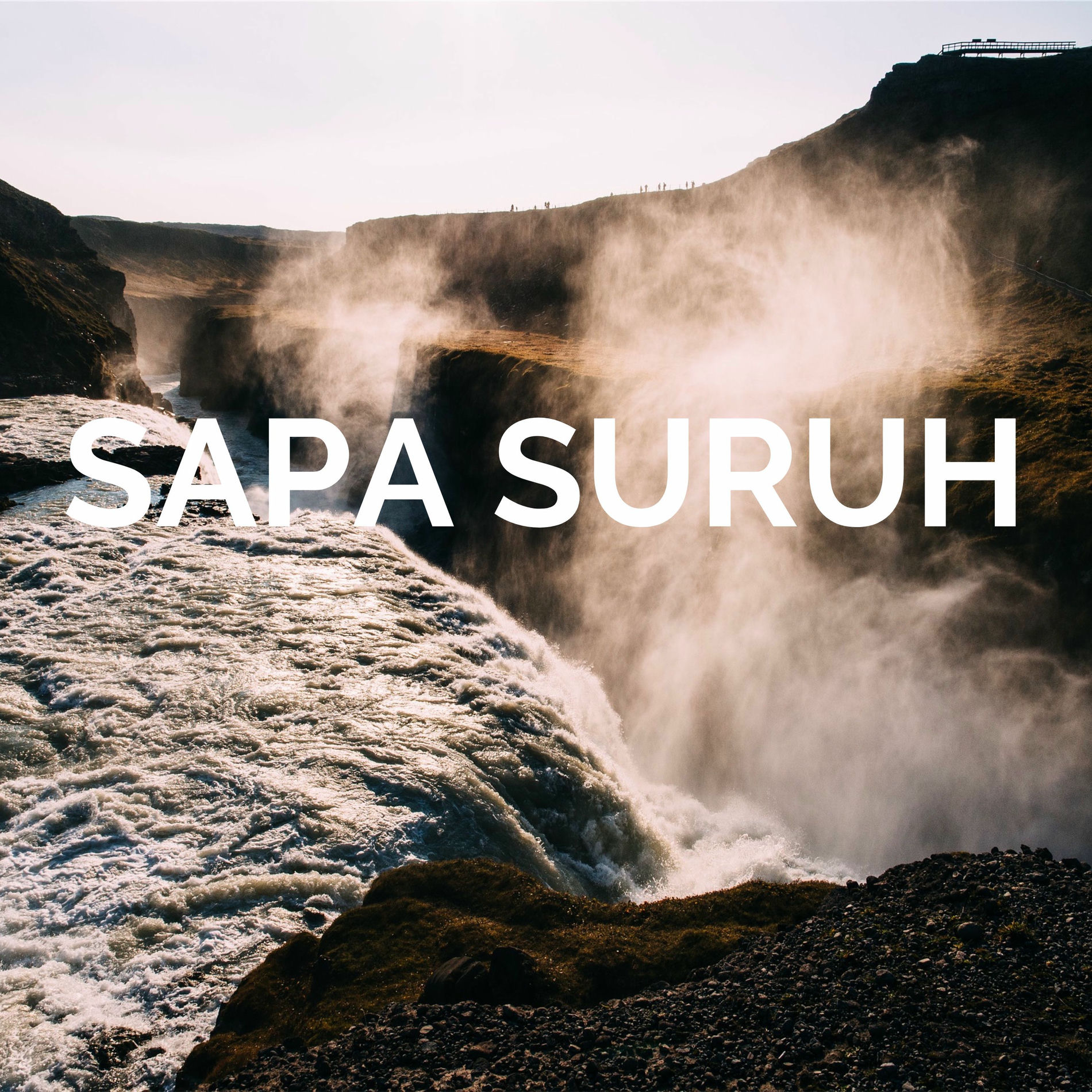Album cover of SAPA SURUH