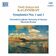 Symphony No. 1 in G Minor: I. Allegro moderato
