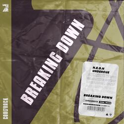 Cover of Breaking Down