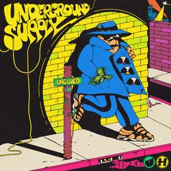 Cover of Underground Supply