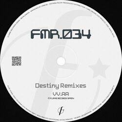 Cover of Destiny (Remixes)
