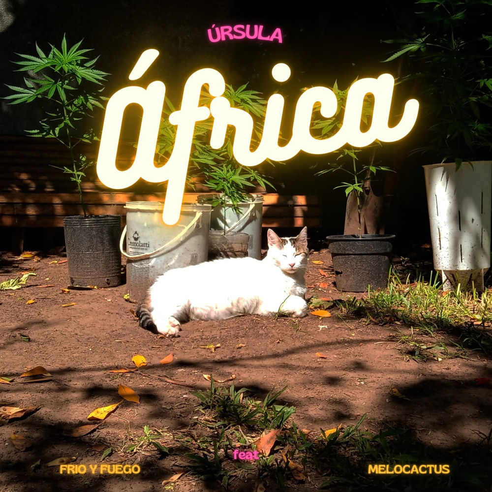 Album artwork for África by Ursula