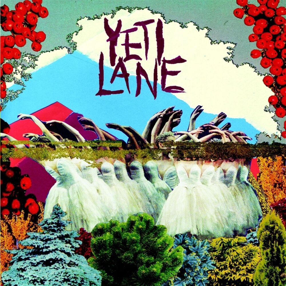 Picture of Yeti Lane