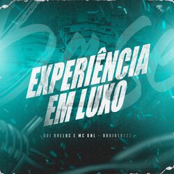 Cover of Experiência em Luxo
