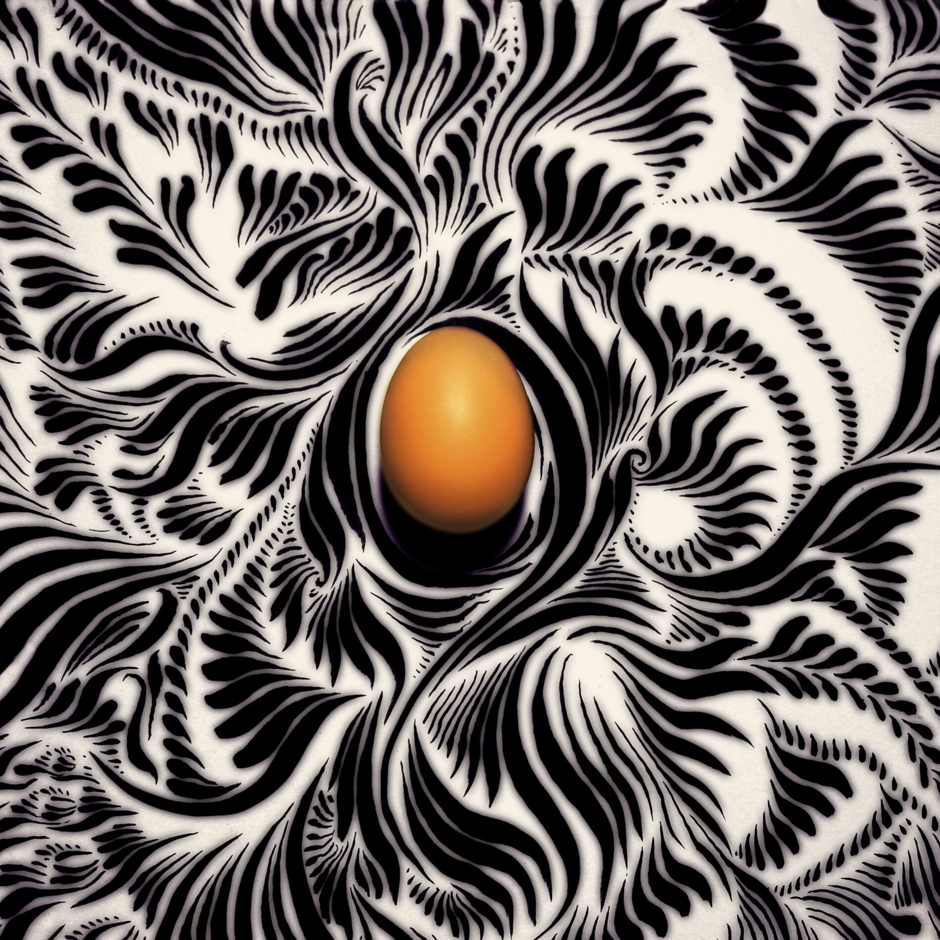 Album cover of Albumin
