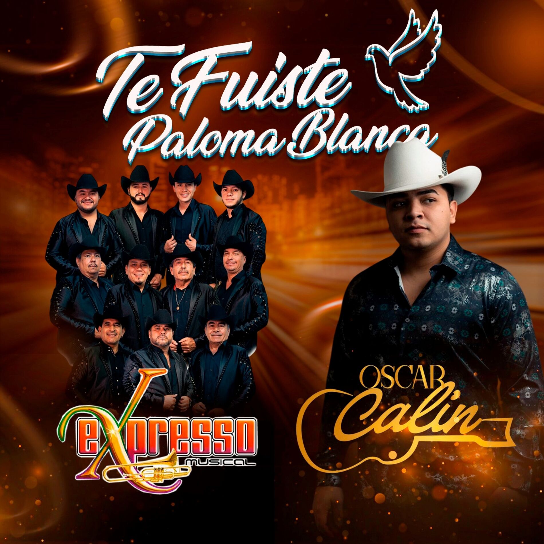Album cover of Te fuiste paloma blanca