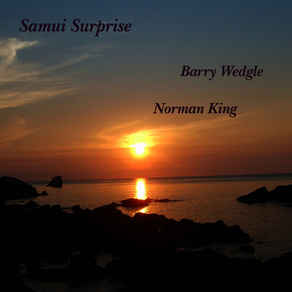 Picture of Samui Surprise