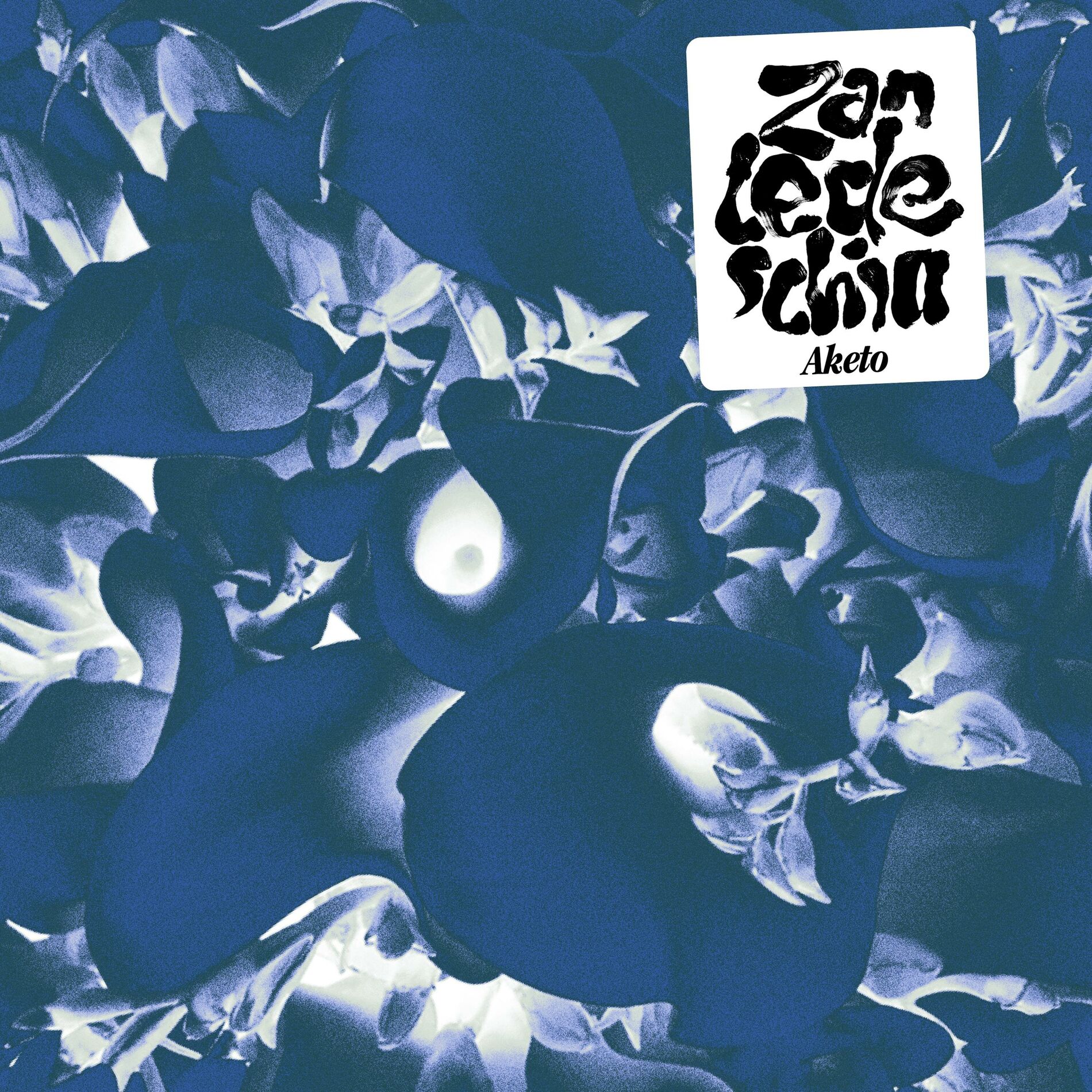Album cover of Summer shower