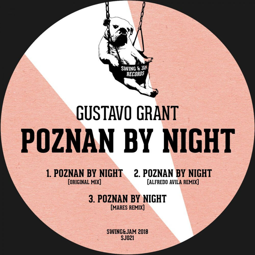 Picture of Poznan By Night