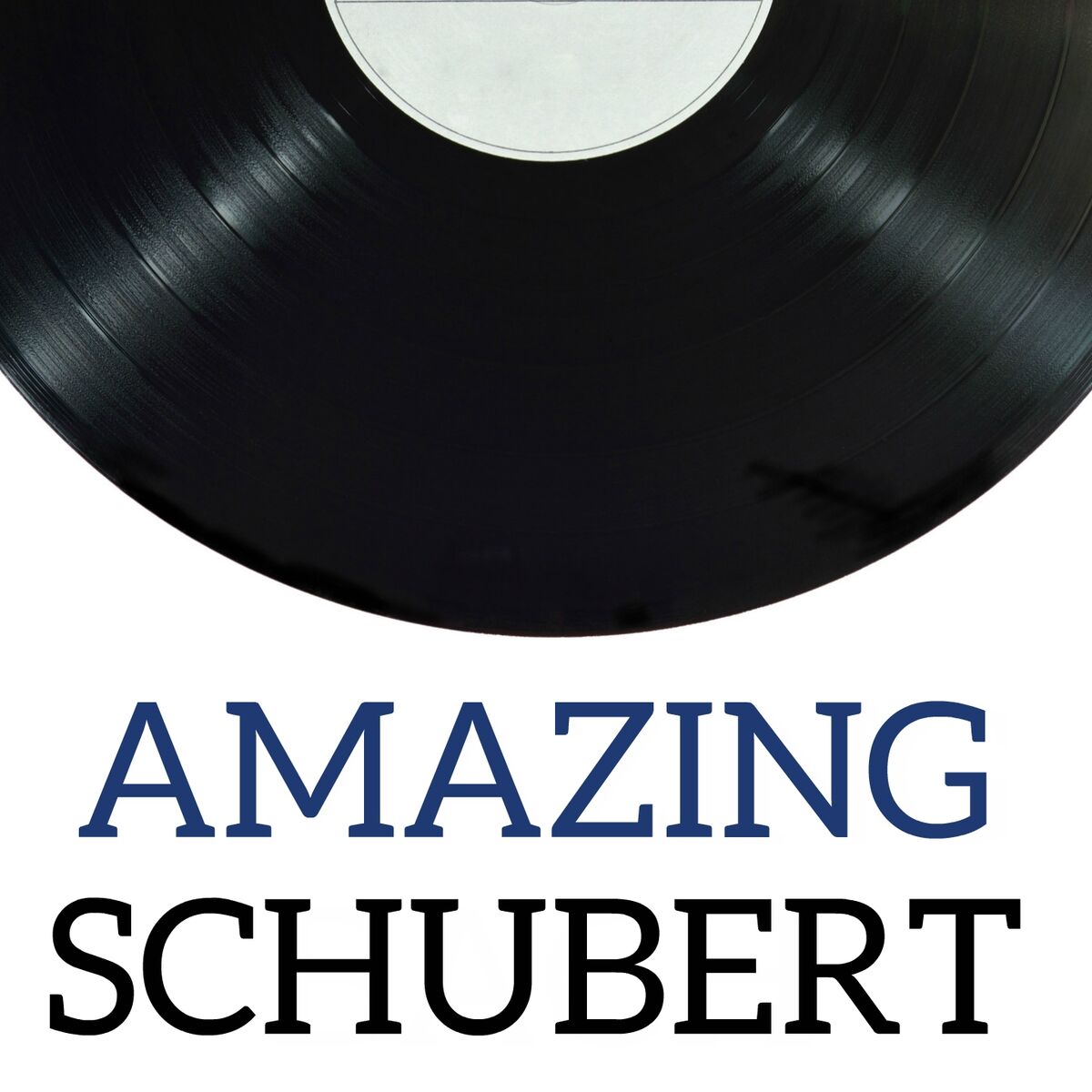 Album cover of Amazing Schubert